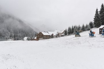 DSC_2199