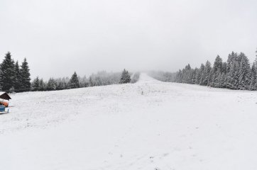 DSC_2201