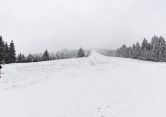 DSC_2201